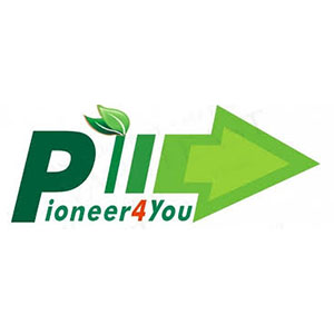 Pioneer4you Mods