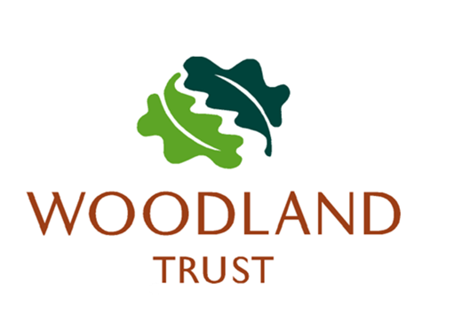 Woodland Trust Charity Christmas Cards