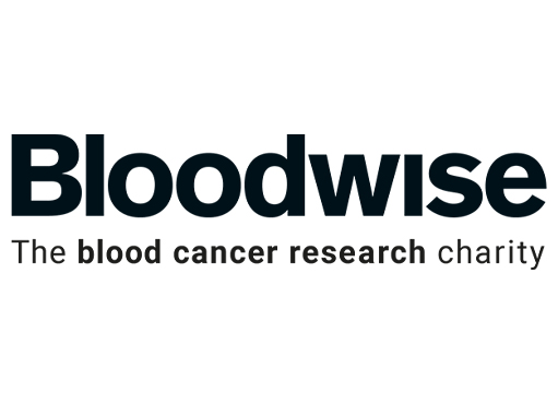 Bloodwise Charity Christmas Cards