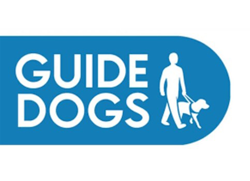 The Guide Dogs for the Blind Association Charity Christmas Cards