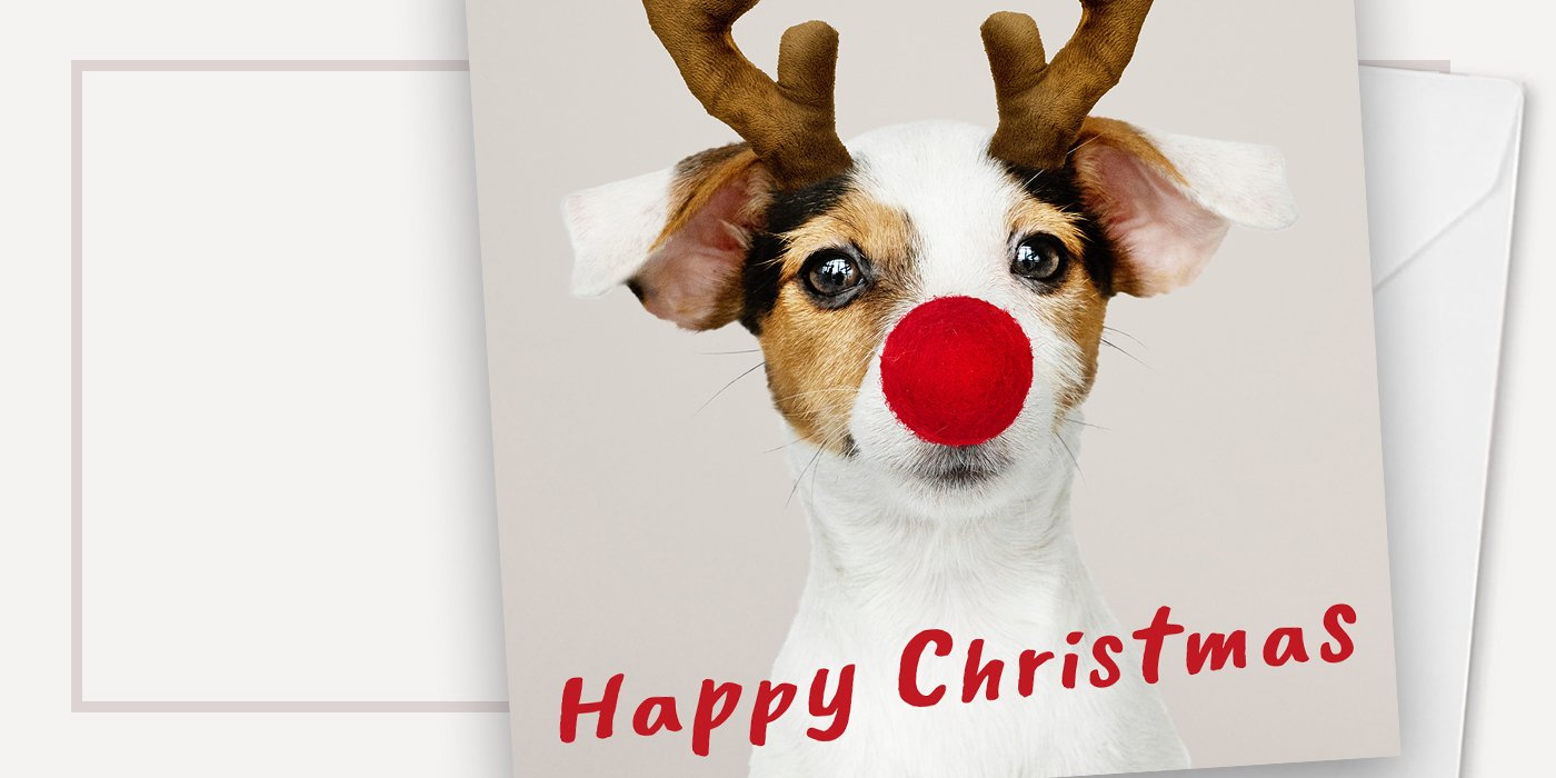 Animal Business Christmas Cards