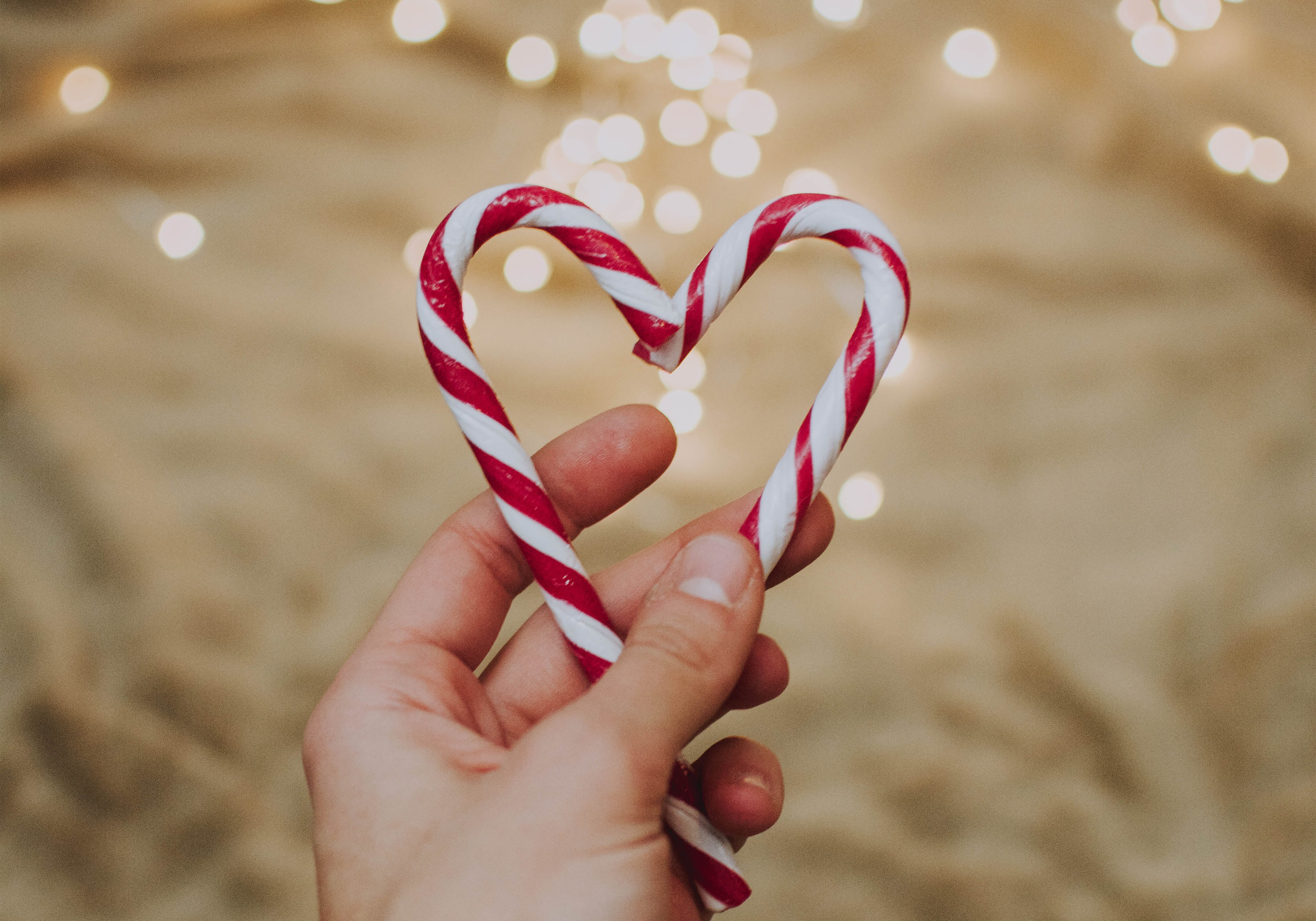 Charity Christmas Cards