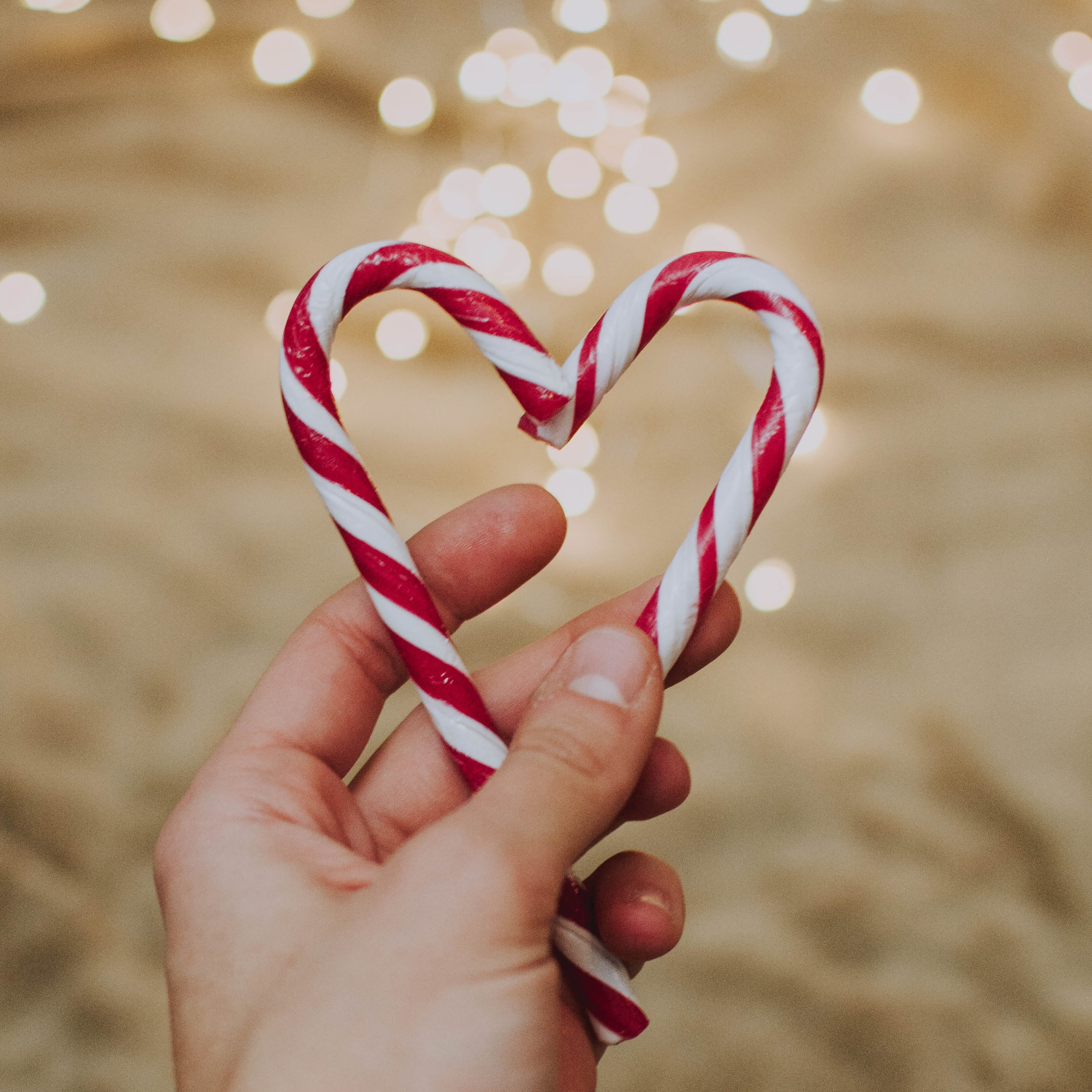 Charity Christmas Cards