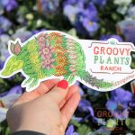 groovy-plants-ranch-armadillo-sticker-gear-125
