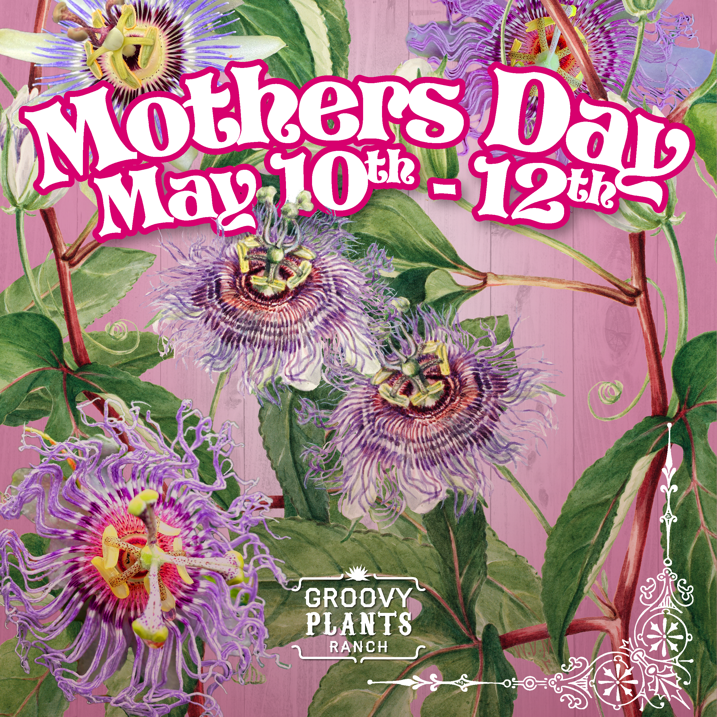 mothers_day_24_1200x1200