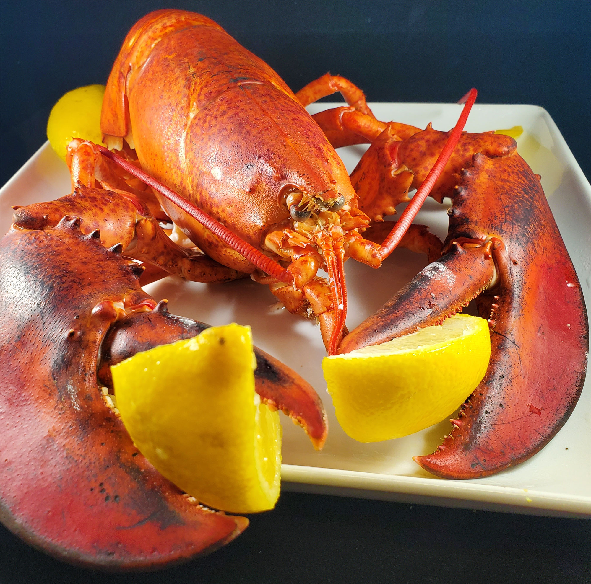 Boiled Lobster with Spicy Garlic Butter Dipping Sauce