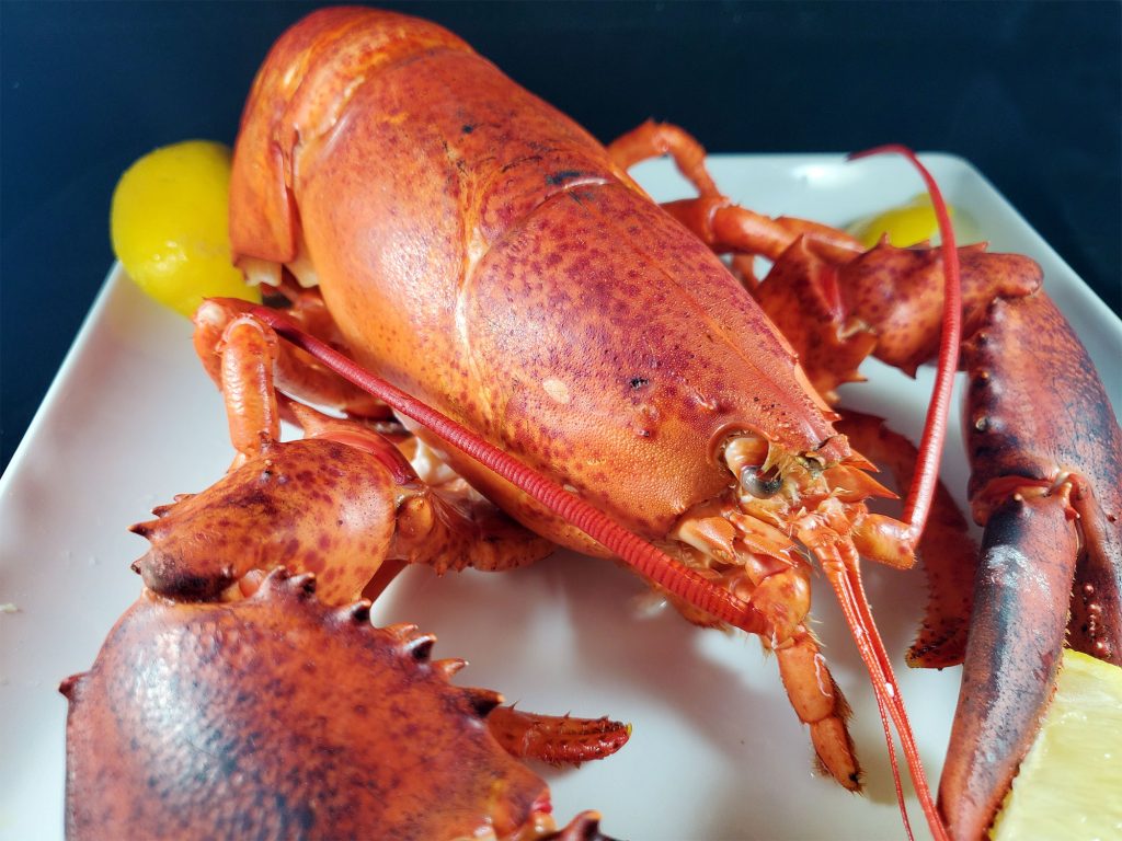 FM Recipes Boiled Lobster with Spicy Garlic Butter Dipping Sauce