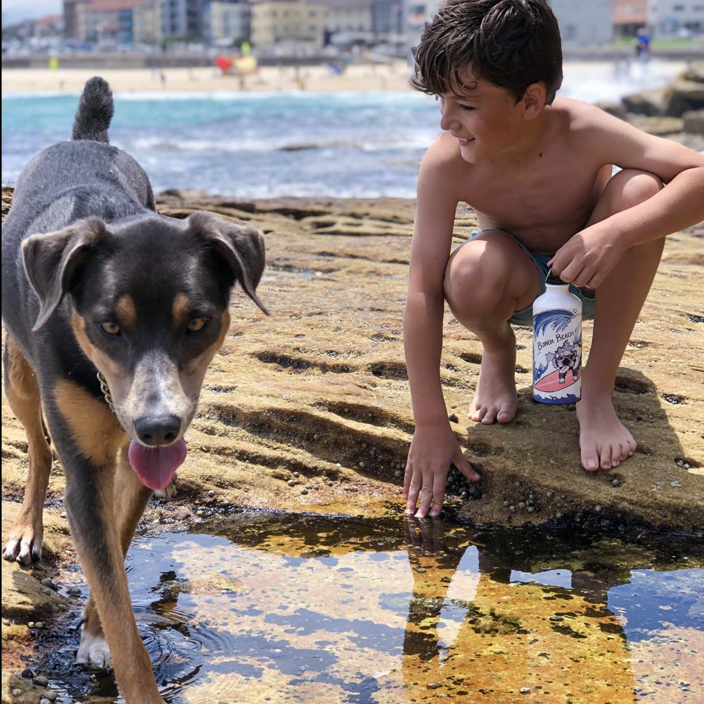 Kids love the Surfer Doggo bottle from Rachel Giddens’ collection, designed and hand-printed to order in Australia – $25.99.