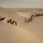 Camel trains in the sea of dunes