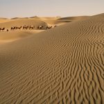 Camel train weaving between the dunes