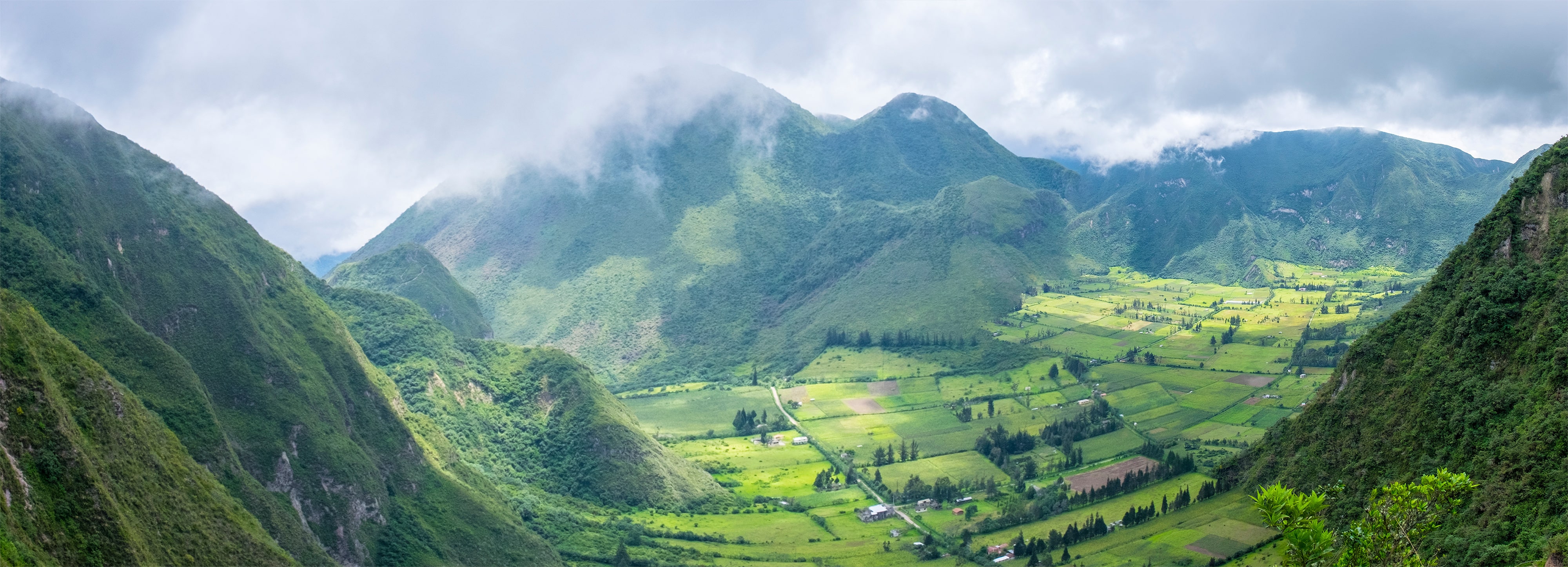 Ecuador, Volcanoes, Jungle