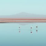 Desert Lagoon