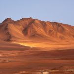 Majesty of the desert