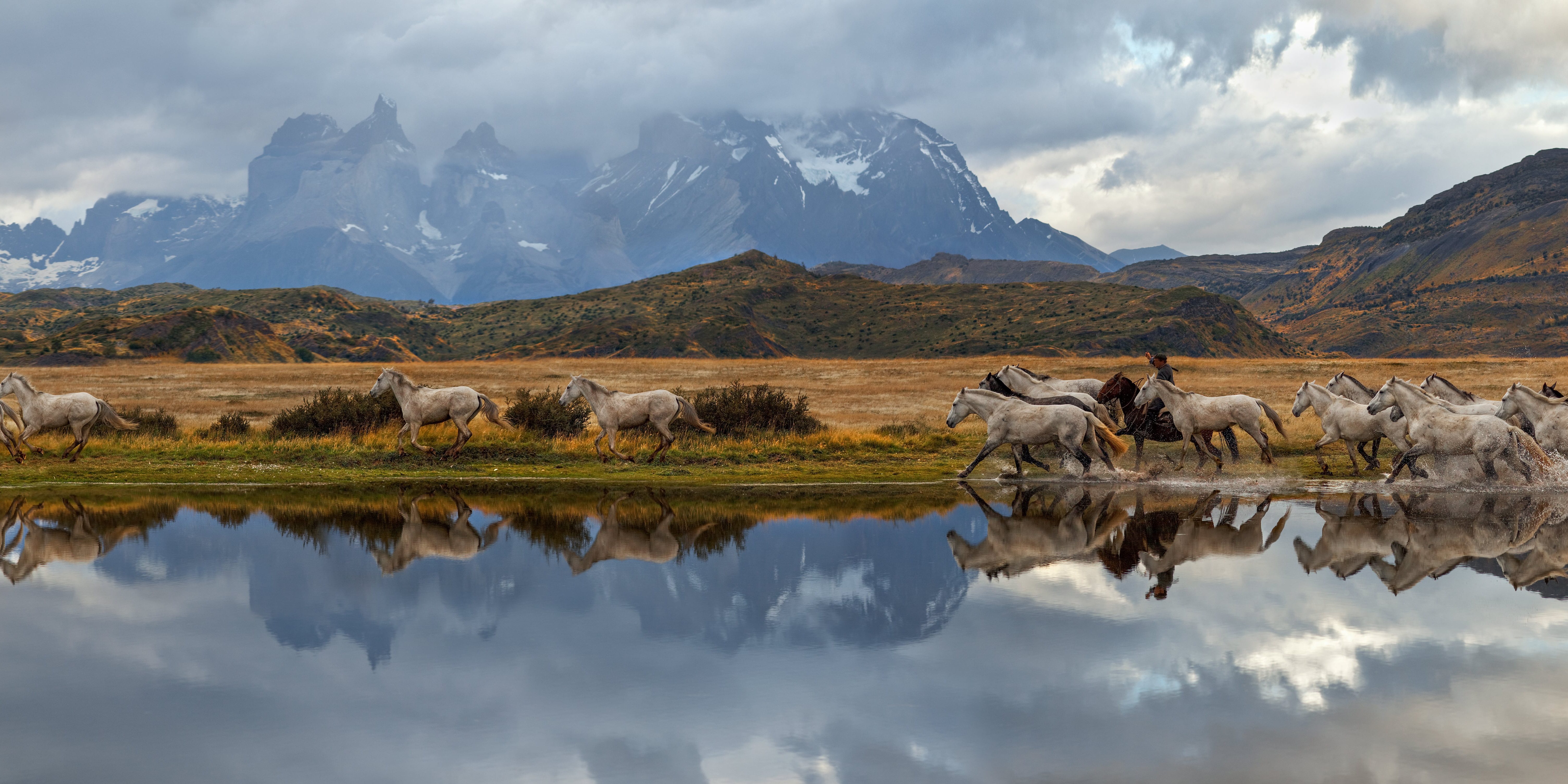Gauchos and herd of horses, scenic panorama. Torres del Paine National Park, Patagonia, Argentina