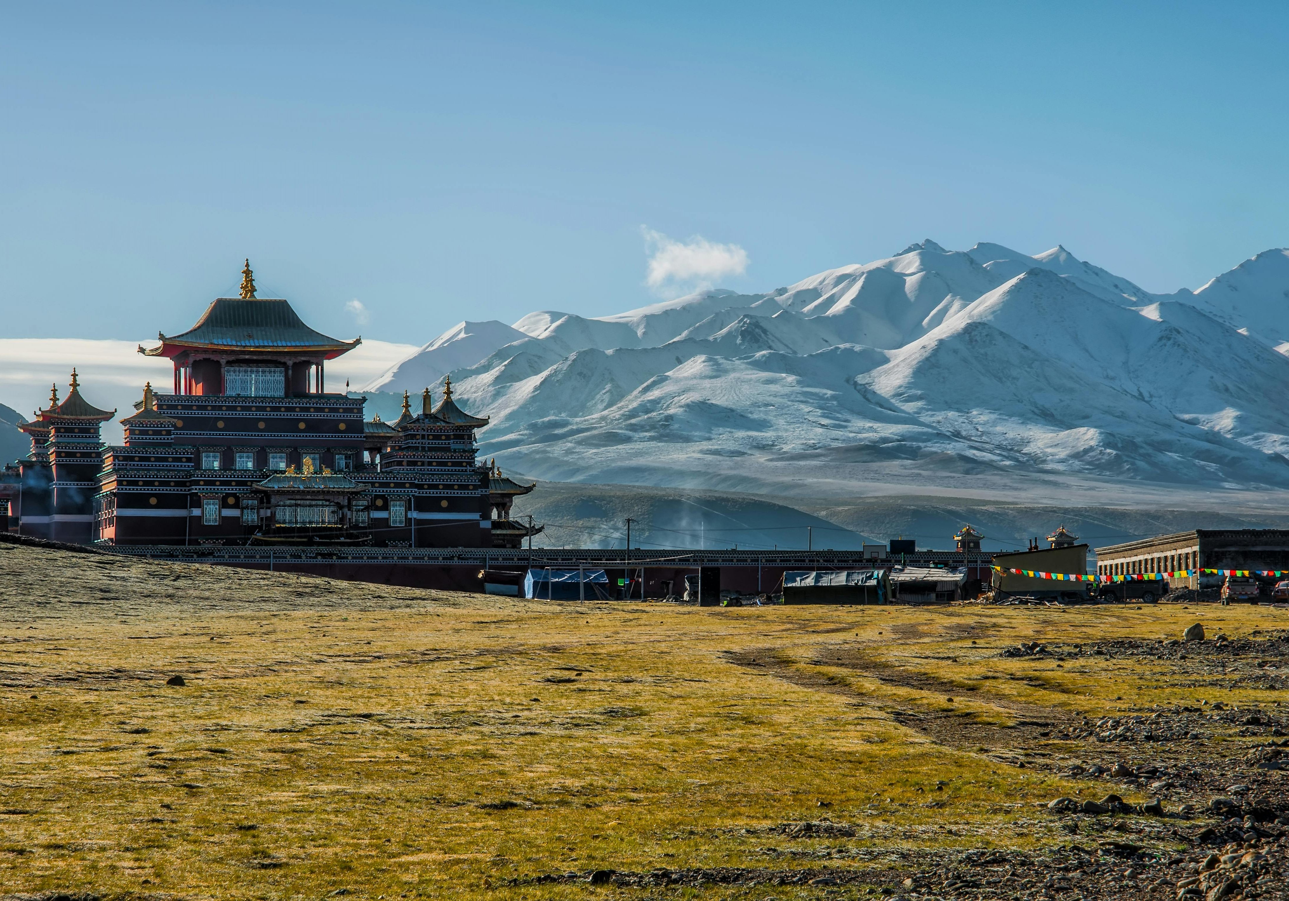 Moutinas of Northern China