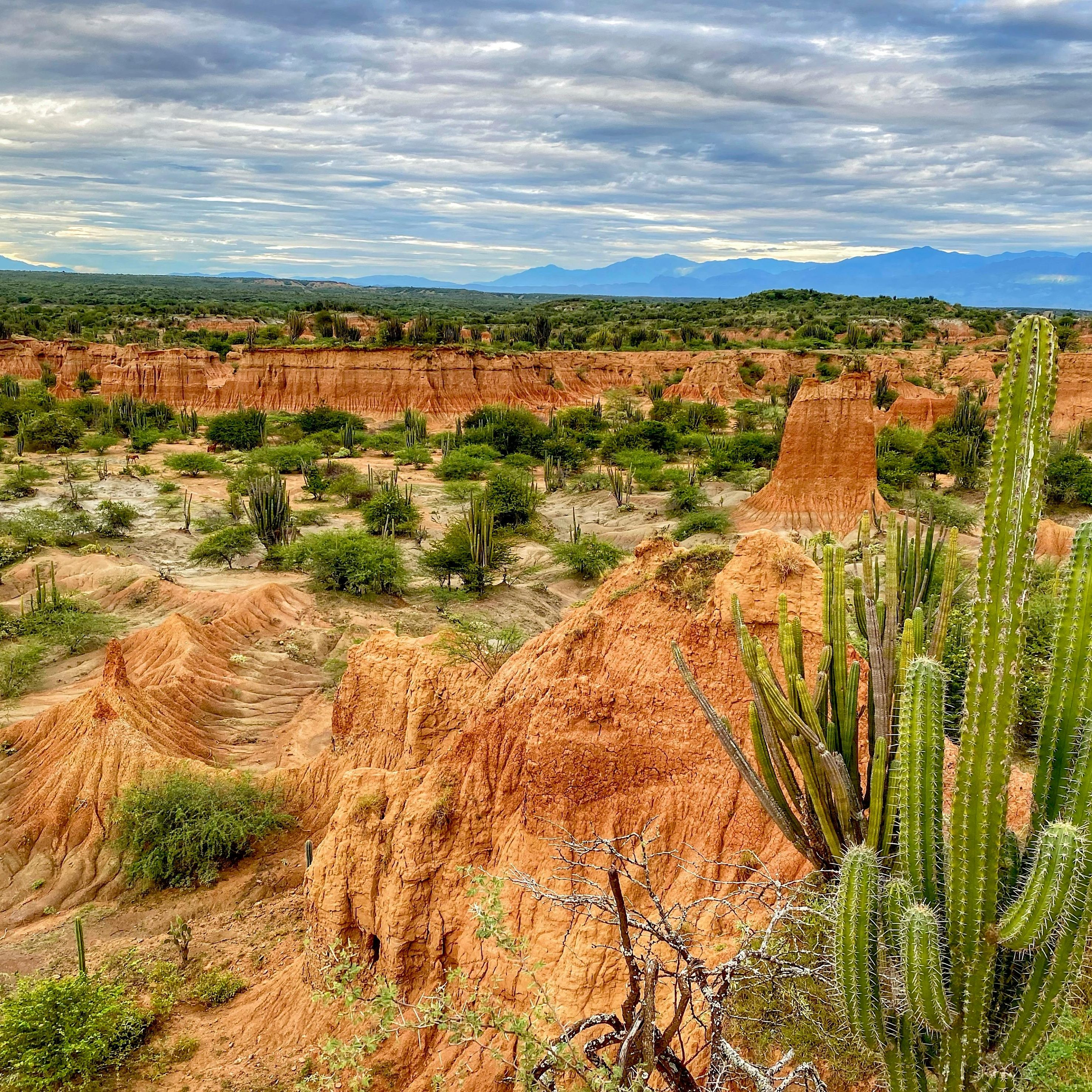 Colombia, Tatacoa Desert