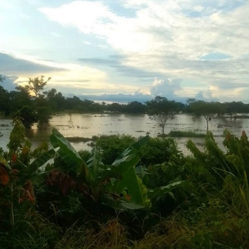 Wetlands of Colombia