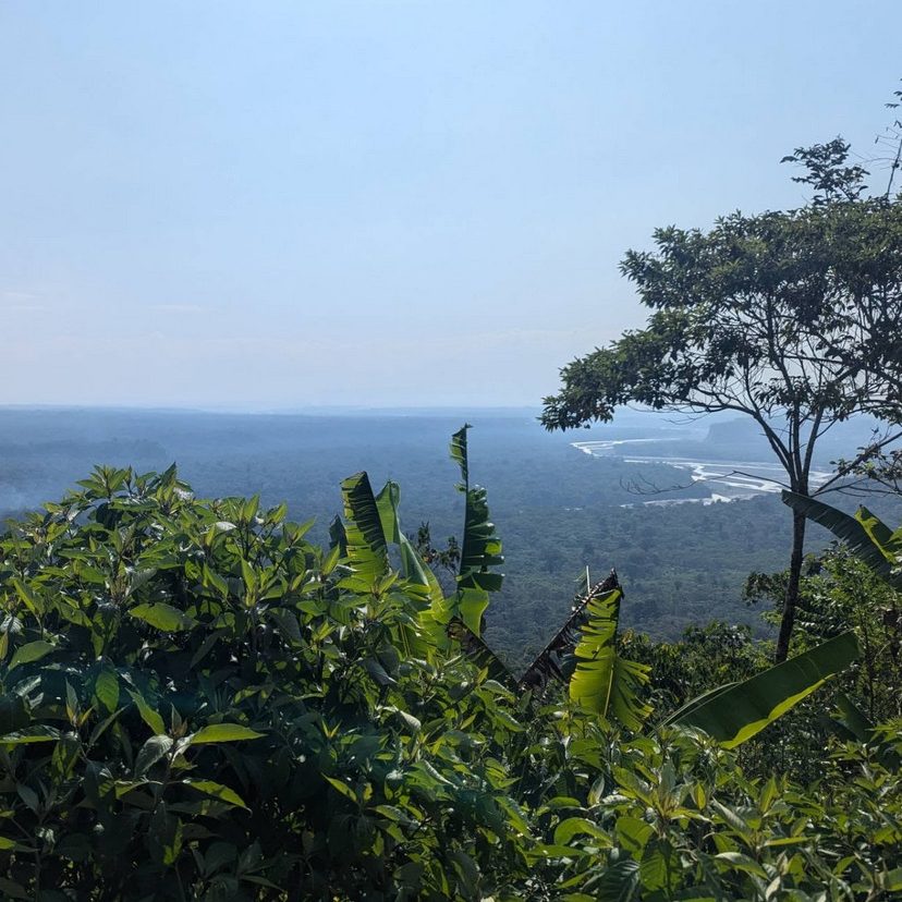 Ecuador, jungle, river,