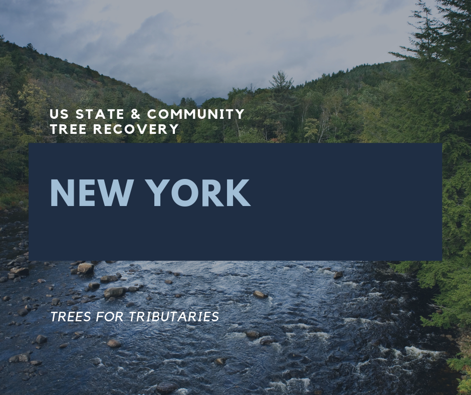 Tree Planting Locations State Forest And Community A Living Tribute   USC NY 