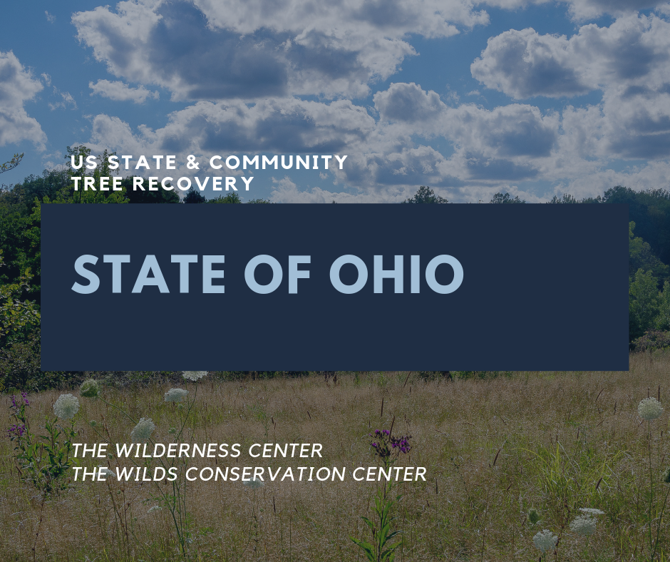 Tree Planting Locations State Forest And Community A Living Tribute   USC Ohio 