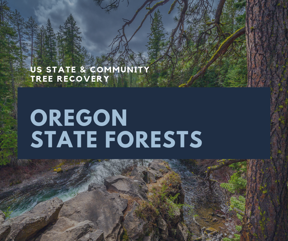 Tree Planting Locations State Forest And Community A Living Tribute   USC Oregon 