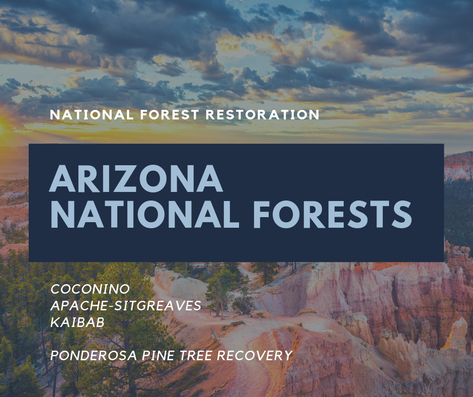 Tree Planting Locations - National Forest Restoration - Pg. 2 | A ...