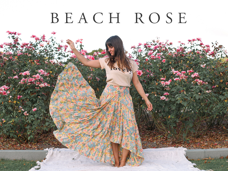 BEACH rose