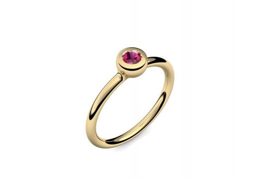 Ring Slick and Shiny | Gelbgold 585 | Rubin | 319 €