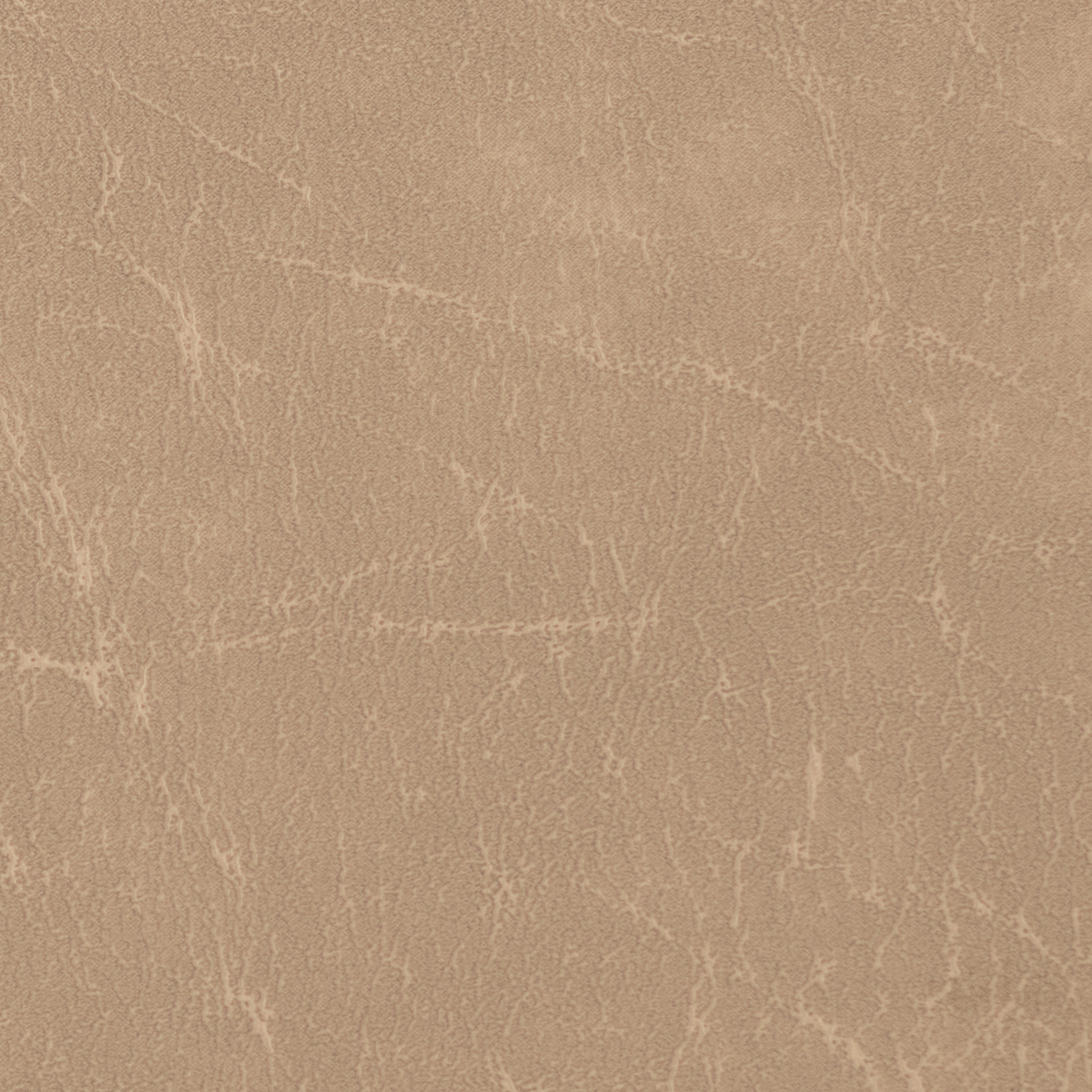 05 Carrara-parchment-cropped