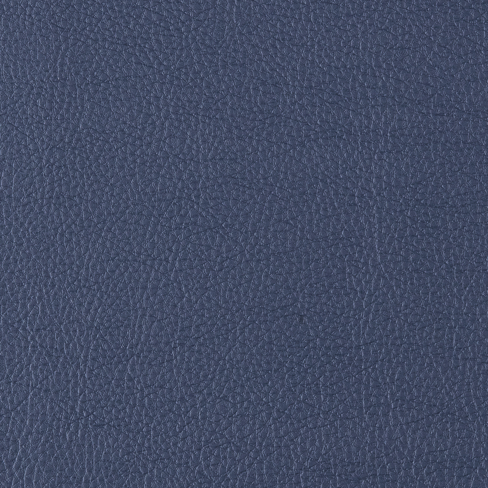 10 prodigy_sailor-cropped