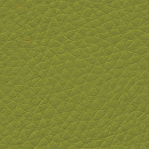 12-GEN-1906 LEMON GRASS