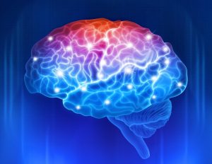Auragen Recover Cognitive Function