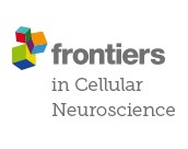 https://gravity-apps.com/cmspro/wp-content/uploads3914//2021/04/Frontiers-in-Neuroscience.jpg