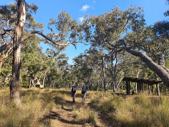 Canarvon Gorge Camp Day 4