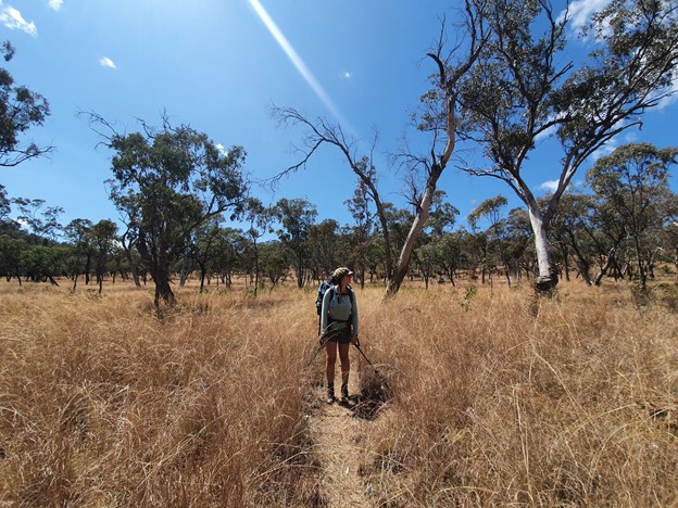 Canarvon Gorge Great Walk Hike