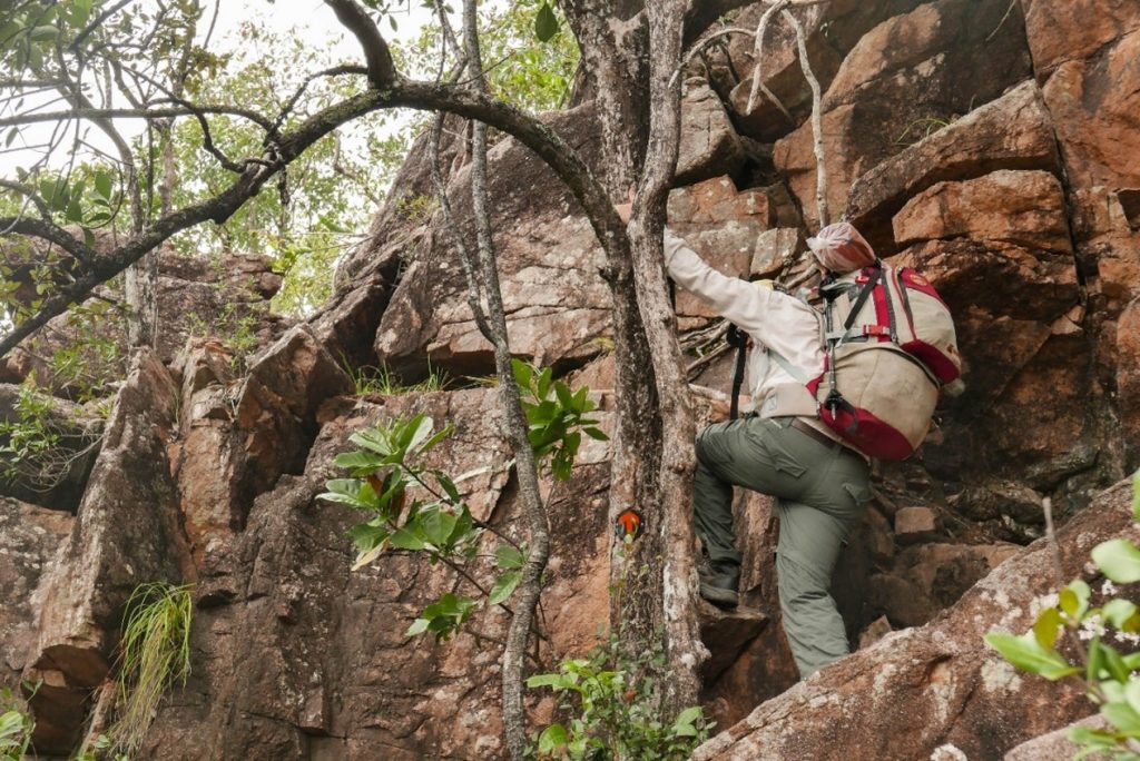 The trail and a direction marker – can you spot it?