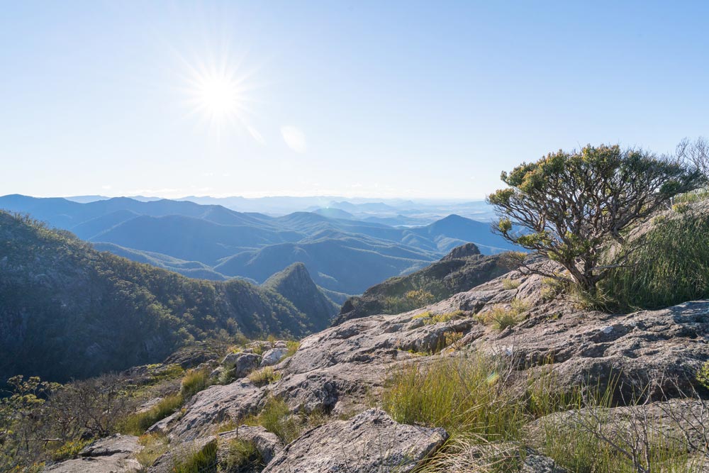 A photo of the view at the top of the Mount Barney hiking trail. With a landscape of other mountains and the Scenic Rim region.