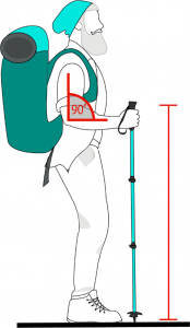 How to choose the right hiking pole size?