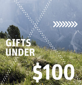 gifts-under-100-dollars