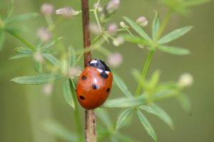 thumb_IMG_5996_1024
