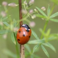 thumb_IMG_5996_1024