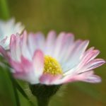 thumb_IMG_8413_1024
