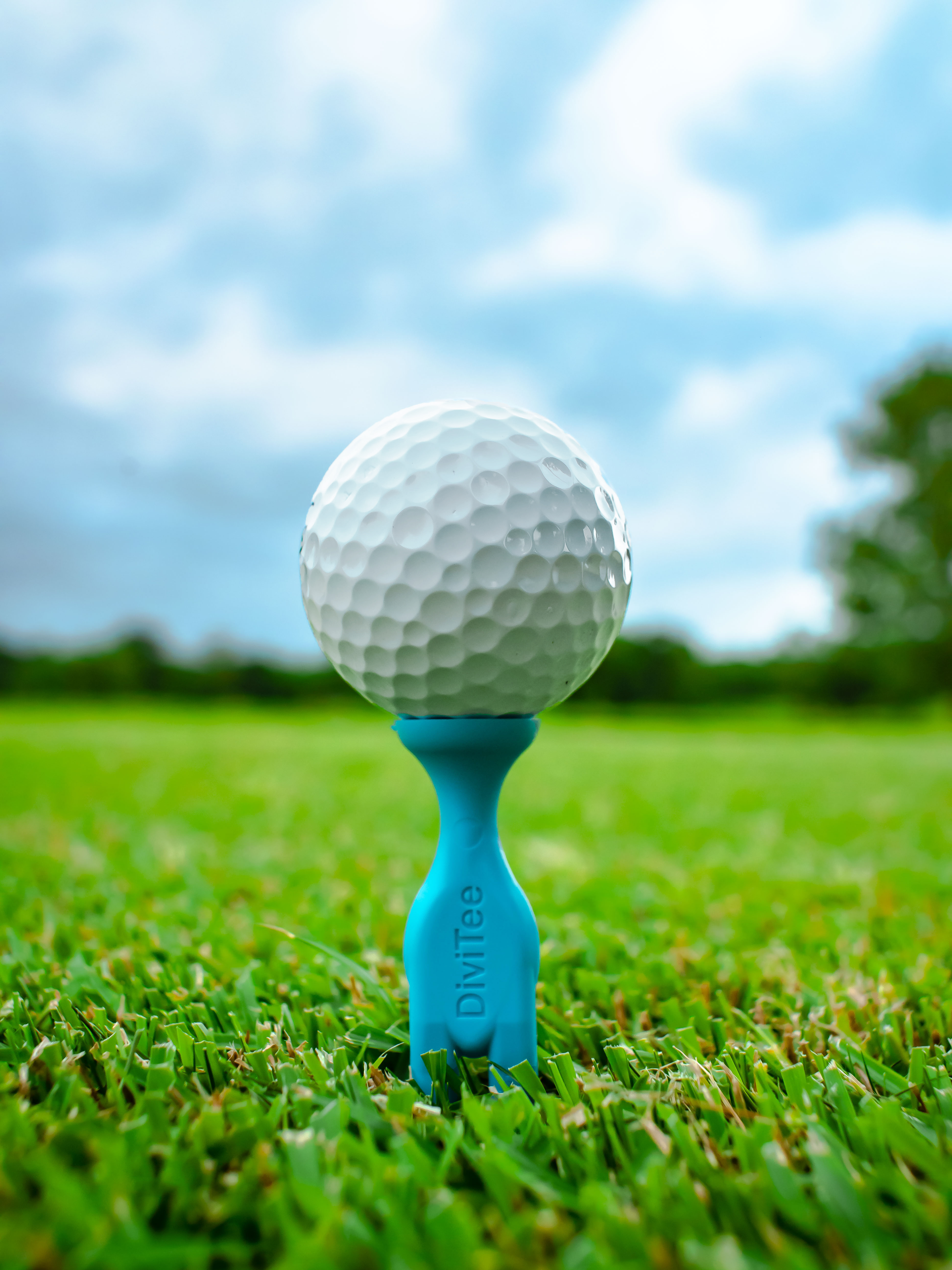 Blue Tee Grass FINAL