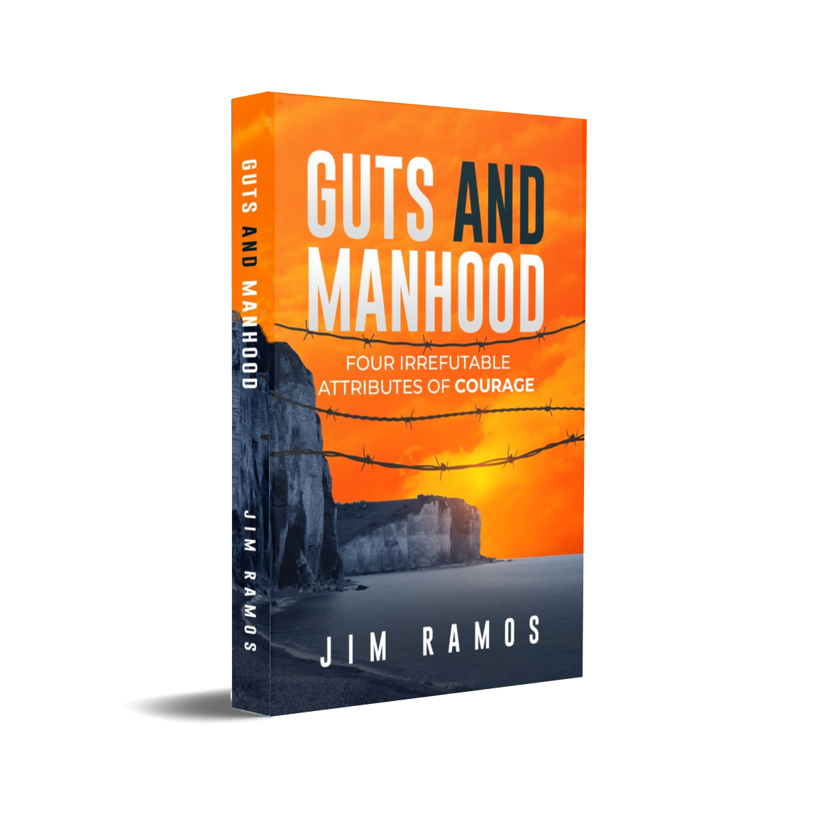 GutsandManhood_Book