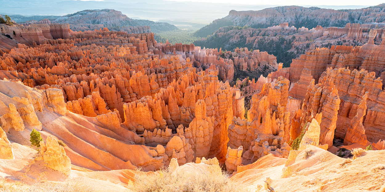 BRYCE CANYON &amp; ZION NATIONAL PARK